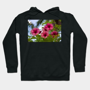 Flowers of Mexico Hoodie